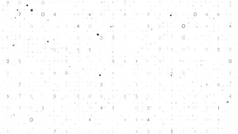 Zahlen-Berechnen-Big-Data-Ziffern-Technologie-Animation-Auf-Weißem-Hintergrund